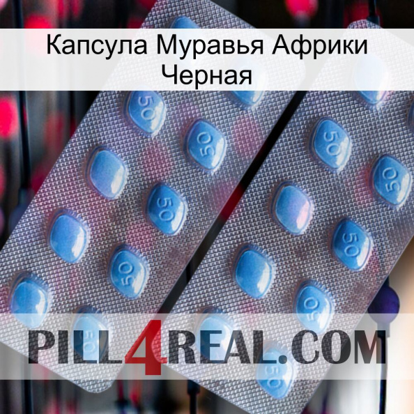 Капсула Муравья Африки Черная viagra4.jpg